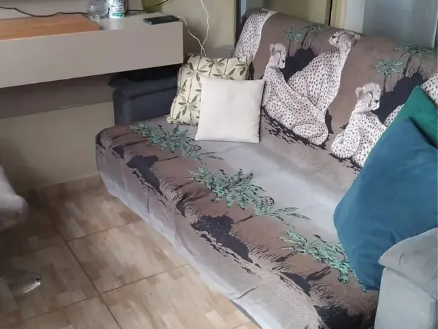 Imagem 6: Casa para Temporada