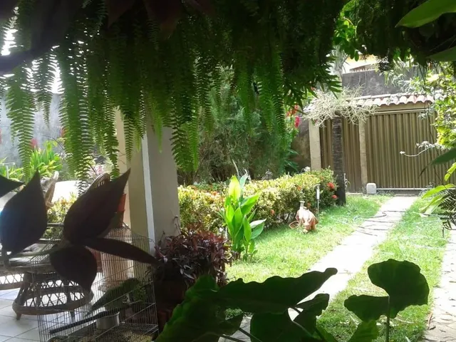 Imagem 3: Aluga-Se Casa Ampla em Pau Amarelo!