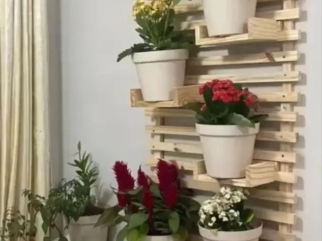 Imagem 2: Particular Direto com a Proprietária