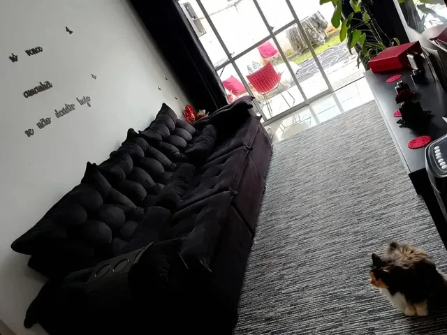 Imagem: Oportunidade Casa Térrea no Condomínio