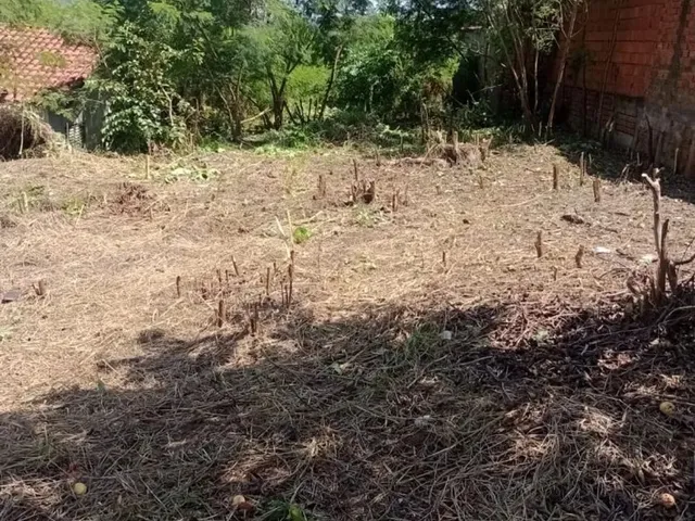 Imagem: Oportunidade - Vende-Se Terreno em Tambaú/Sp