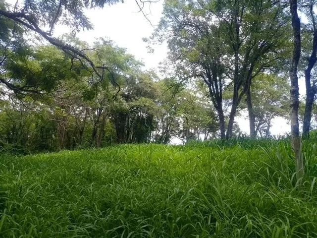 Imagem: Terreno À Venda em Vinhedo, Altos do Morumbi