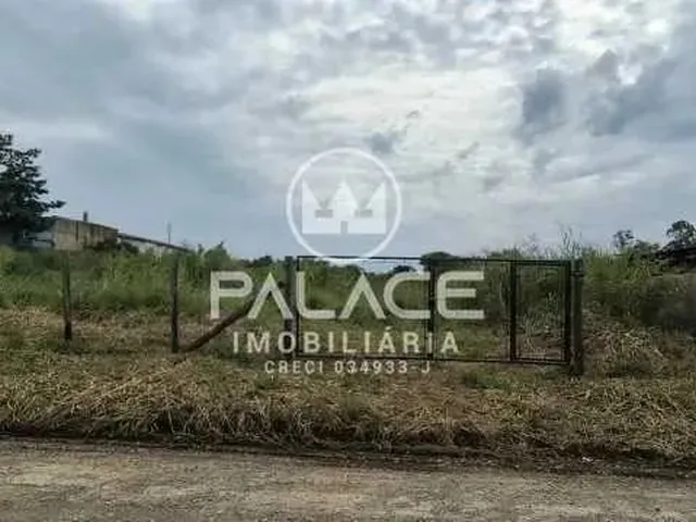 Imagem: Rural para Alugar em Jardim Califórnia