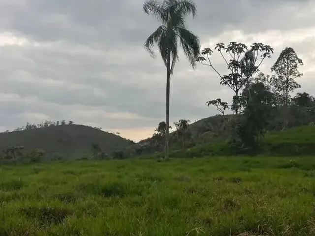 Imagem: Lotes em Até 36X