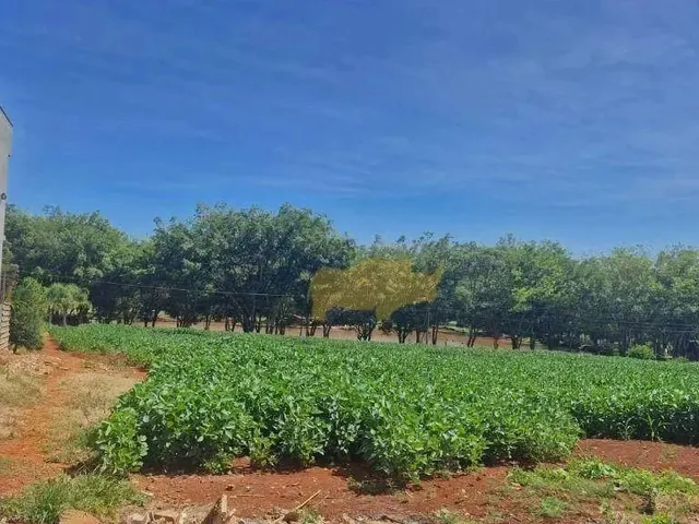 Imagem: Terreno À Venda, 100 M² por R$ 70.000,00