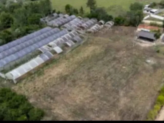 Imagem 4: Sítio Docunto Tudo Ok