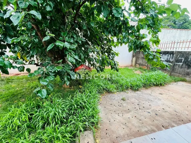 Imagem 16: Casa em Rua das Tipuanas - Conjunto Habitacional Inocente Vila Nova Júnior - Maringá/Pr