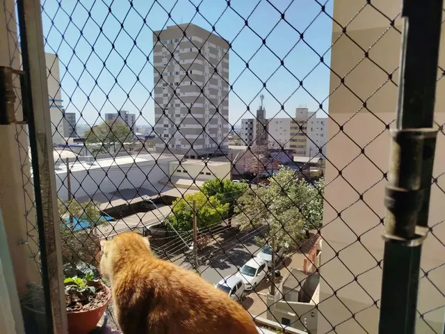 Imagem 9: Apartamento À Venda no Centro de Londrina 3 Quartos, 2 Vagas e Localização