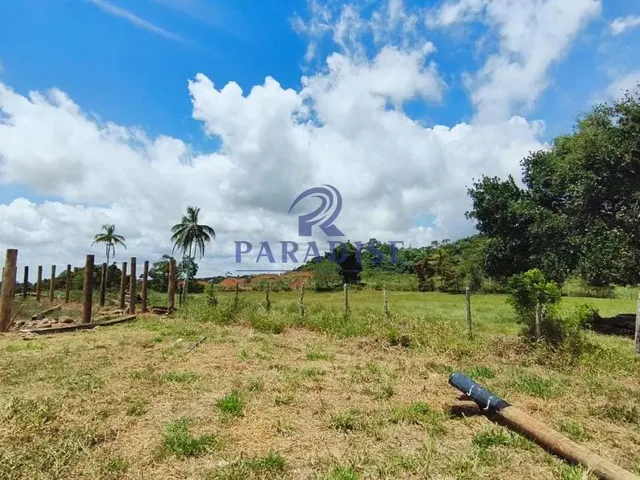 Imagem 4: Fazenda, Zona Rural, Cachoeira - R$ 2.91 Mi, Cod: 68954