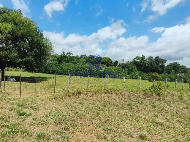 Imagem 12: Fazenda, Zona Rural, Cachoeira - R$ 2.91 Mi, Cod: 68954