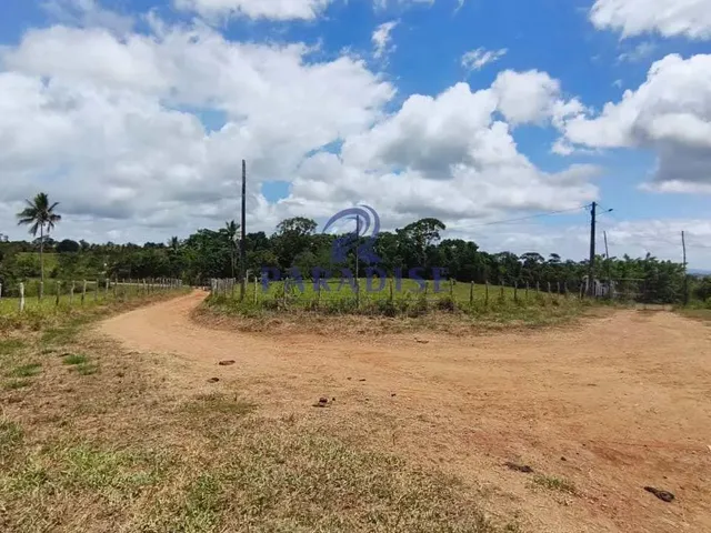 Imagem 8: Fazenda, Zona Rural, Cachoeira - R$ 2.91 Mi, Cod: 68954