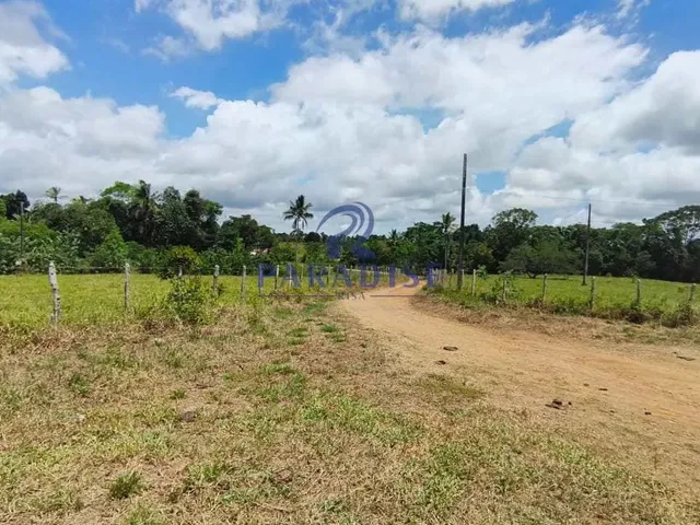 Imagem 2: Fazenda, Zona Rural, Cachoeira - R$ 2.91 Mi, Cod: 68954
