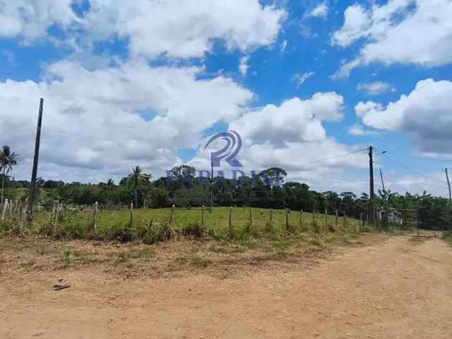 Imagem 7: Fazenda, Zona Rural, Cachoeira - R$ 2.91 Mi, Cod: 68954