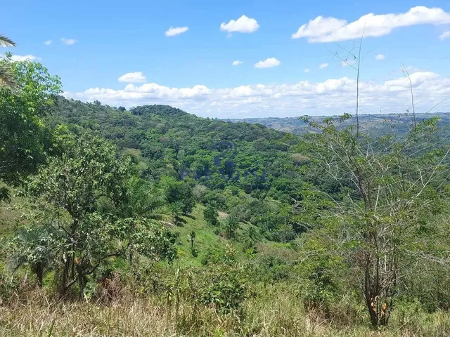 Imagem 9: Fazenda, Zona Rural, Cachoeira - R$ 2.91 Mi, Cod: 68954
