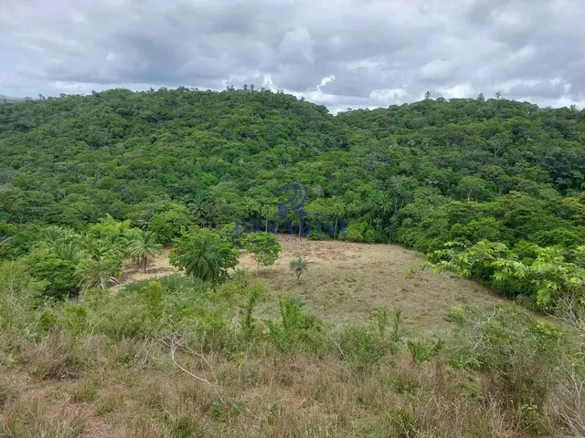 Imagem 6: Fazenda, Zona Rural, Cachoeira - R$ 2.91 Mi, Cod: 68954