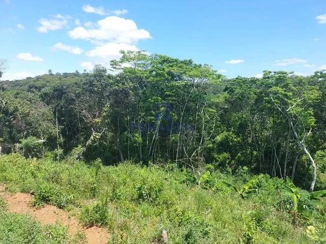 Imagem 5: Fazenda, Zona Rural, Cachoeira - R$ 2.91 Mi, Cod: 68954