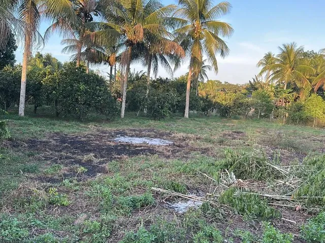 Imagem: Terreno pra Sítio