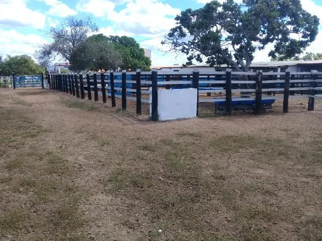 Imagem: Belíssimo Sítio com Casas, Curral, Tronco