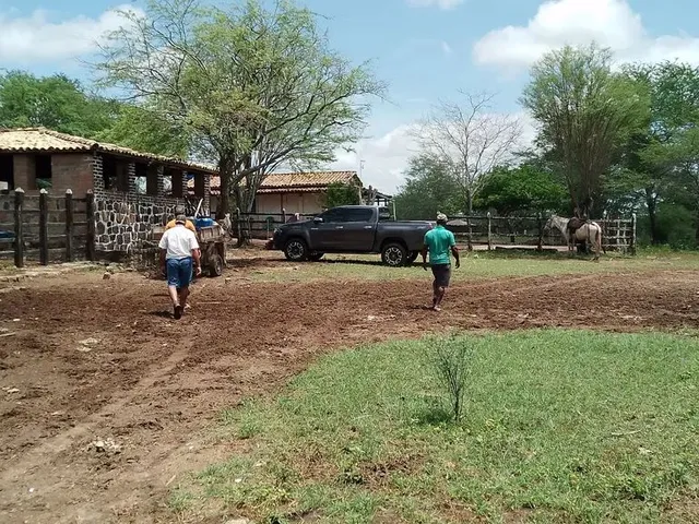 Imagem 1: Fazenda de 429 T, com Duas Casas, Curral e Açude 50% Capim ; Distrito de Jaguara/Feira