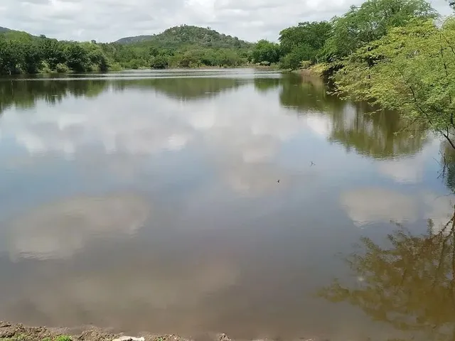 Imagem 14: Fazenda de 429 T, com Duas Casas, Curral e Açude 50% Capim ; Distrito de Jaguara/Feira