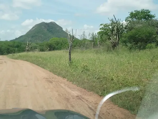 Imagem 3: Fazenda de 429 T, com Duas Casas, Curral e Açude 50% Capim ; Distrito de Jaguara/Feira