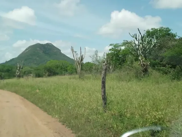 Imagem 4: Fazenda de 429 T, com Duas Casas, Curral e Açude 50% Capim ; Distrito de Jaguara/Feira