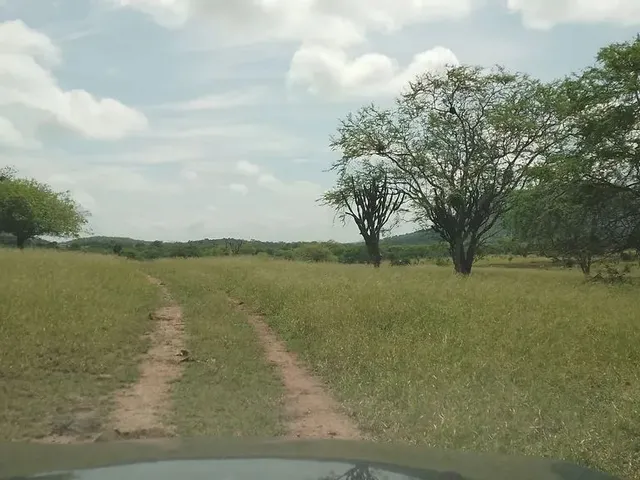 Imagem 7: Fazenda de 429 T, com Duas Casas, Curral e Açude 50% Capim ; Distrito de Jaguara/Feira
