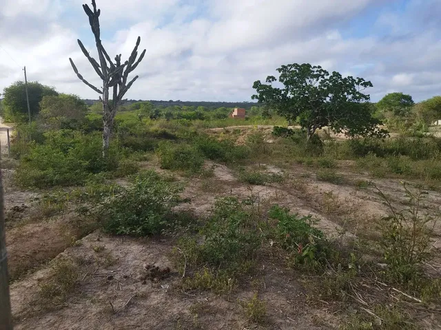 Imagem 7: 02 Tarefas no Povoado da Izabel na Baira da Pista