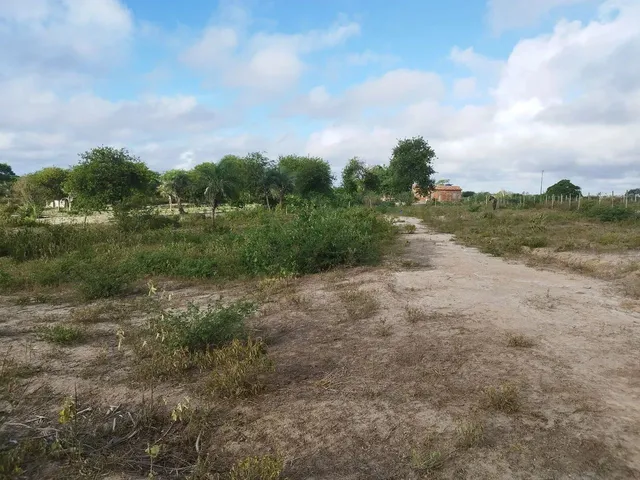 Imagem 9: 02 Tarefas no Povoado da Izabel na Baira da Pista