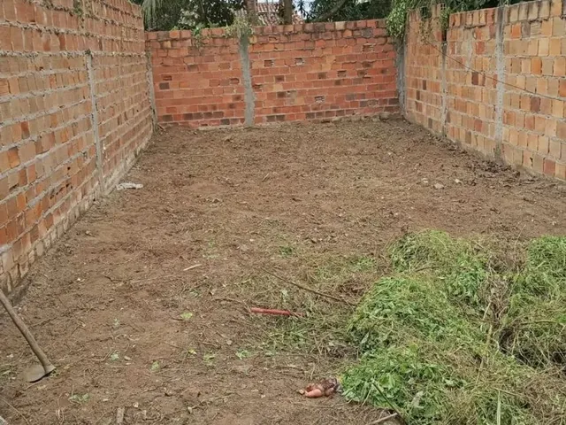 Imagem: Vendo Treino no Papagaio