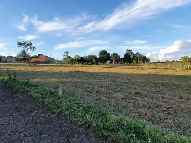 Imagem 4: Loteamento Flor do Genipapo, Excelentes Lotes 150 M², Sapeaçu, a Partir de R$ 15.000,00