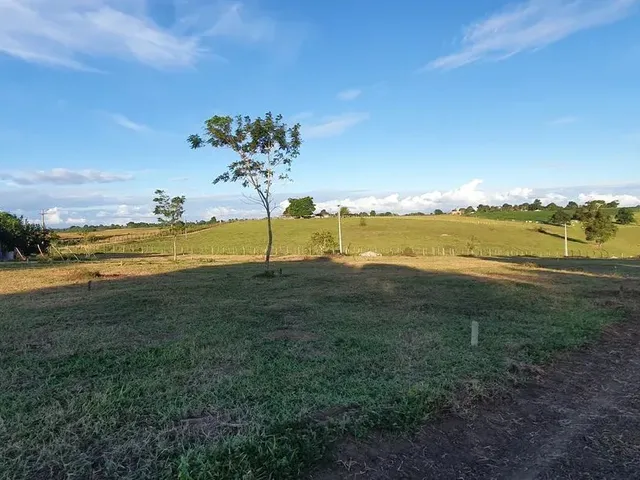 Imagem 13: Loteamento Flor do Genipapo, Excelentes Lotes 150 M², Sapeaçu, a Partir de R$ 15.000,00