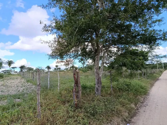 Imagem: Terreno para Sítio - 6,5 Tarefas, Próx