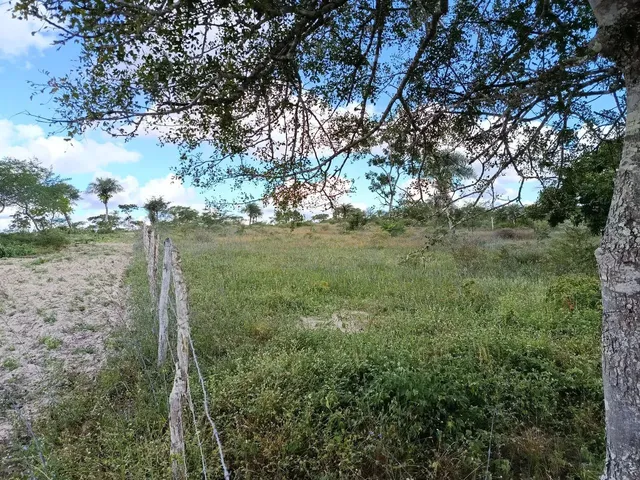 Imagem 2: Terreno para Sítio - 6,5 Tarefas, Próx a Izabel!