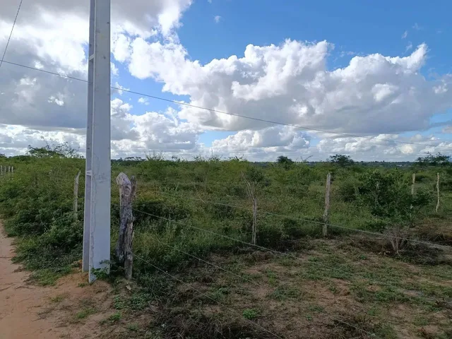 Imagem 4: Terreno para Sítio - 6,5 Tarefas, Próx a Izabel!