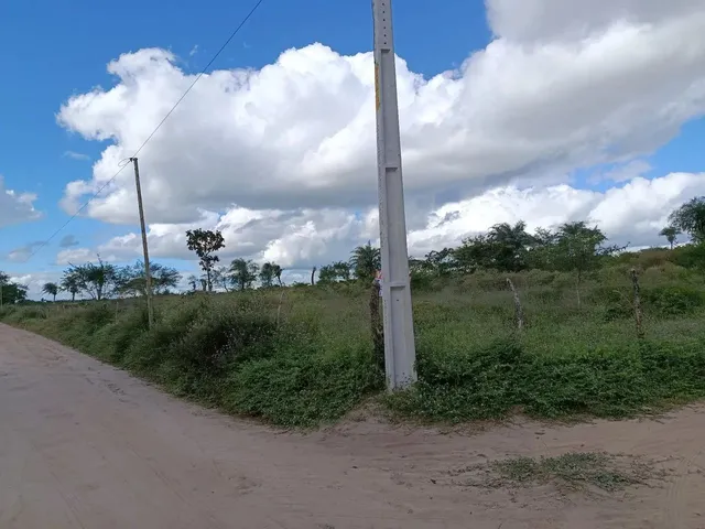Imagem 5: Terreno para Sítio - 6,5 Tarefas, Próx a Izabel!