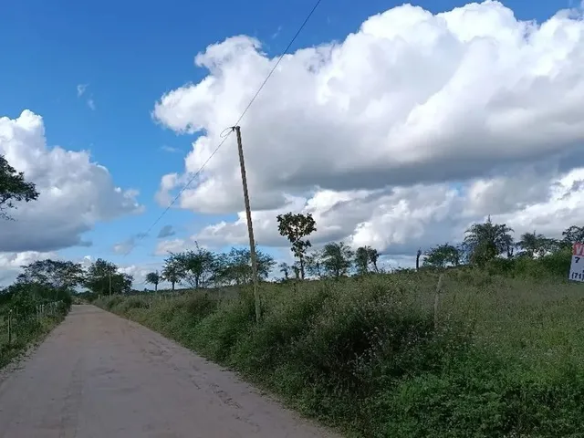 Imagem 6: Terreno para Sítio - 6,5 Tarefas, Próx a Izabel!
