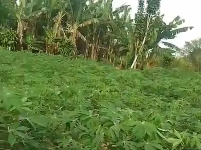 Imagem: Terreno com Casa