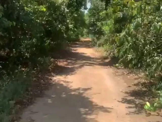 Imagem 2: Vendo Lotes em Boipeba-Ba.