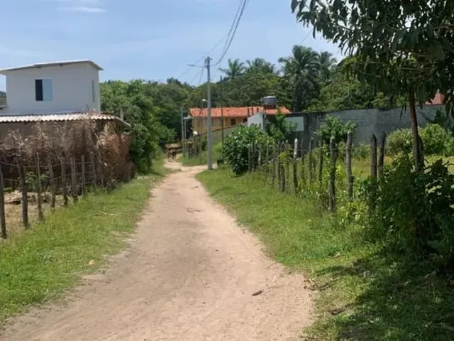 Imagem 3: Vendo Lotes em Boipeba-Ba.
