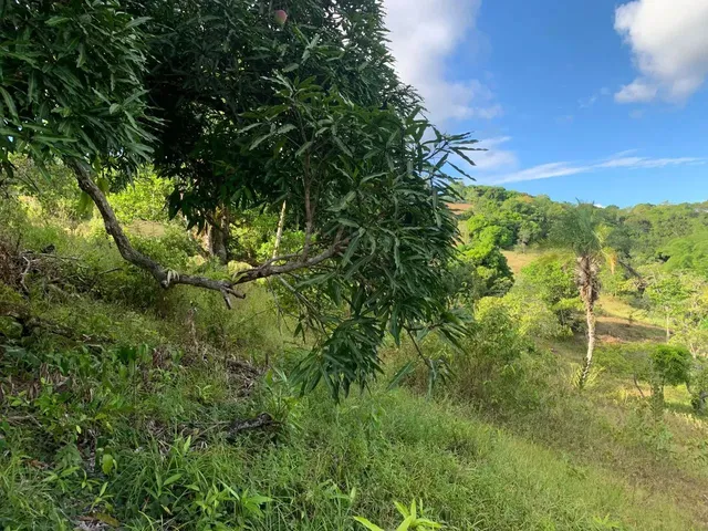 Imagem: Sítio de 1,2 Tarefa a Venda em Maragogipe