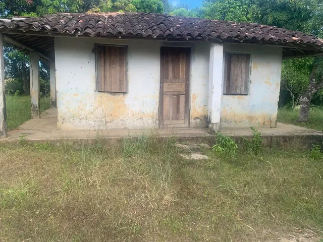 Imagem 9: Sítio de 1,2 Tarefa a Venda em Maragogipe Ba