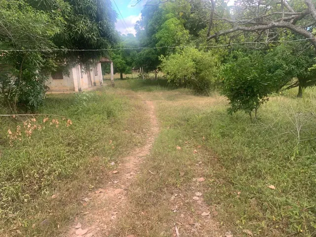 Imagem 10: Sítio de 1,2 Tarefa a Venda em Maragogipe Ba