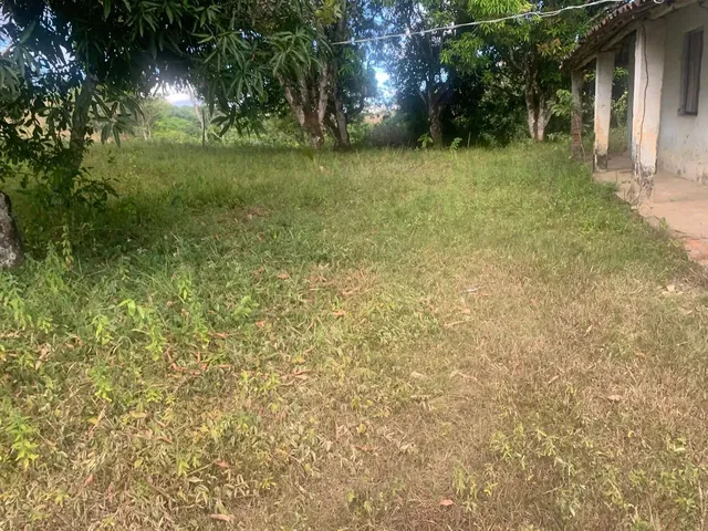 Imagem 11: Sítio de 1,2 Tarefa a Venda em Maragogipe Ba