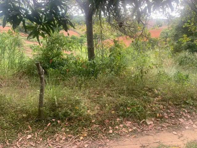Imagem 12: Sítio de 1,2 Tarefa a Venda em Maragogipe Ba