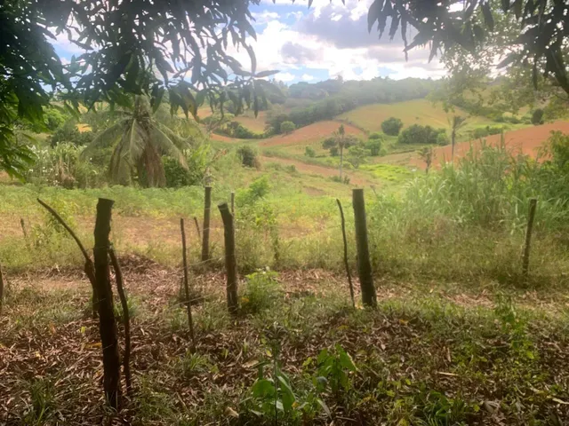 Imagem 13: Sítio de 1,2 Tarefa a Venda em Maragogipe Ba