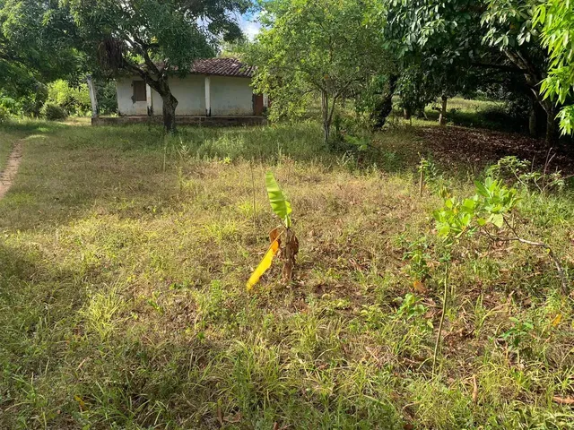 Imagem 2: Sítio de 1,2 Tarefa a Venda em Maragogipe Ba