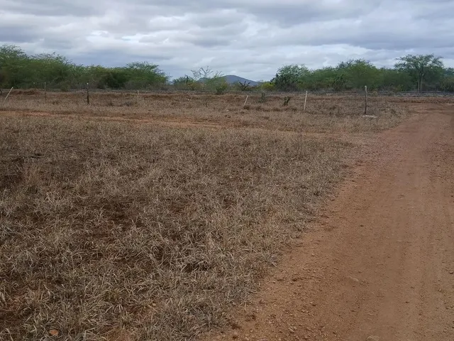 Imagem: Lotes 17X40 na Beira do Rio Paraguaçu em
