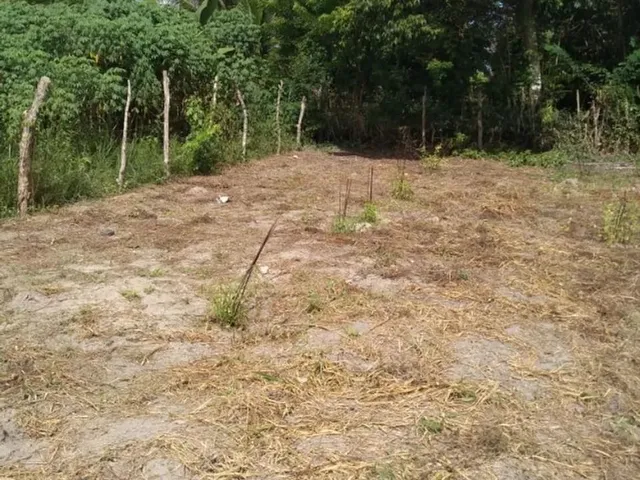 Imagem: Terreno na Nova Conquista