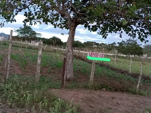Imagem: Terreno no Alto. Frente da Br 116. 20 Mil